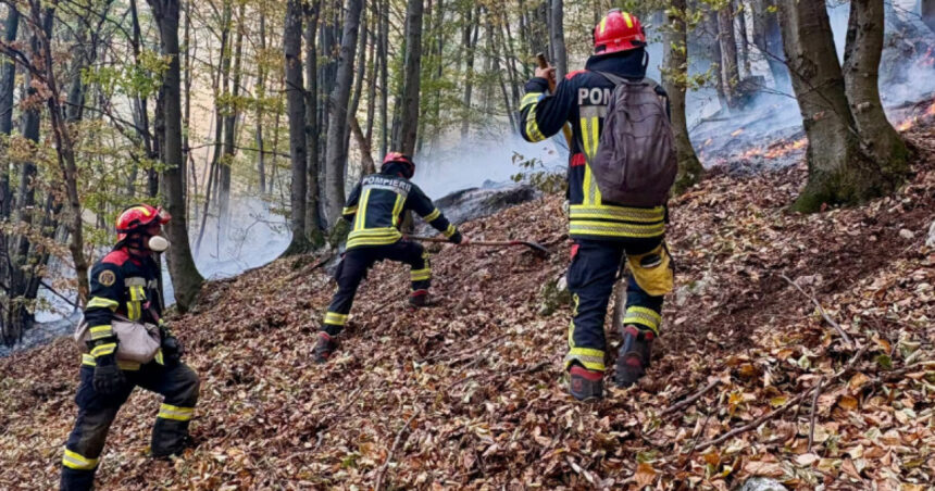 noi interventii pentru stingerea incendiilor din parcul national domogled peste 1 000 de hectare sunt afectate 6acc5cf98f93a