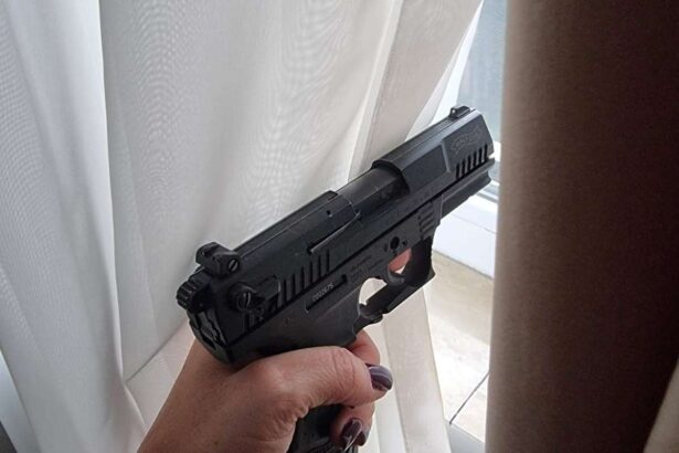 perchezitii la doi barbati care au adus in tara arme ce le au spus procurorilor 6ad2a78f3749c
