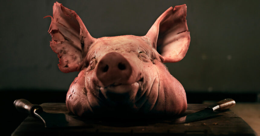 saga capetelor de porc continua un al doilea incident tip cosa nostra la proprietatile cofondatorului aur marius lulea 6ad7432d11ca7