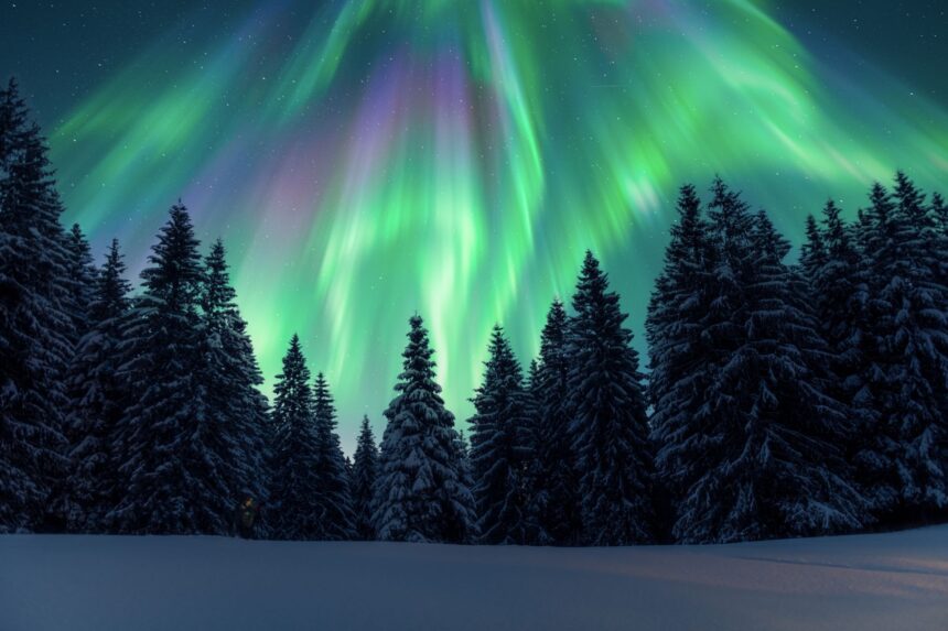test de cultura generala care este diferenta dintre aurora boreala si aurora australa 6ac34d29a5c5c