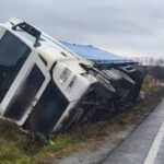 un autocamion incarcat cu floarea soarelui s a rasturnat la iesire din negureni 6abe708f74de6