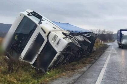 un autocamion incarcat cu floarea soarelui s a rasturnat la iesire din negureni 6abe708f74de6