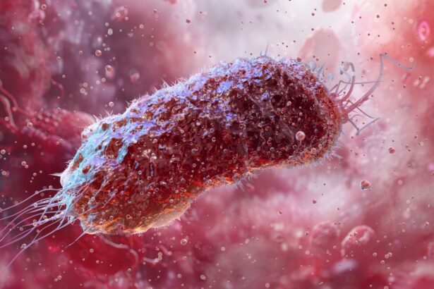 un compus produs de bacteriile intestinale ar putea accelera modificarile asociate bolii alzheimer 6ac7b941b35d1