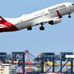 un zbor spre australia a fost anulat in ultimul moment din cauza plosnitelor de la bord pasagerii au ramas in italia 6ace0689f1b13