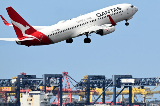 un zbor spre australia a fost anulat in ultimul moment din cauza plosnitelor de la bord pasagerii au ramas in italia 6ace0689f1b13