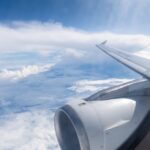urmele biologice ramase pe avioane cum identifica cercetatorii pasarile pentru a preveni accidentele 6ac34d11e21a8