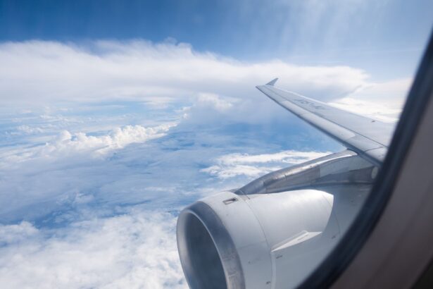 urmele biologice ramase pe avioane cum identifica cercetatorii pasarile pentru a preveni accidentele 6ac34d11e21a8