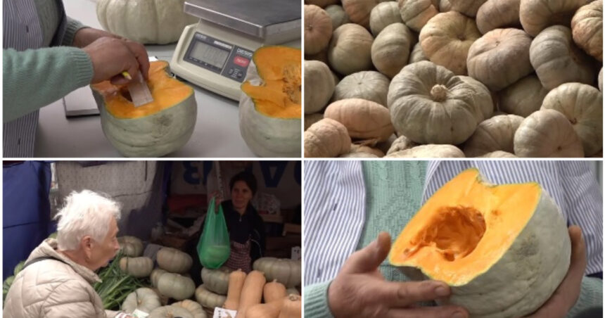 video cel mai dulce dovleac din romania povestea soiului inovator de la dabuleni care cucereste gospodinele si pietele cat costa kilogramul 6adefc299108d