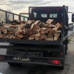 video descinderi si retineri intr un dosar de furt de arbori din padurea ocolului silvic baneasa 6ac2317c5c635