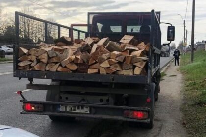video descinderi si retineri intr un dosar de furt de arbori din padurea ocolului silvic baneasa 6ac2317c5c635