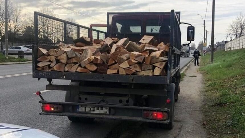 video descinderi si retineri intr un dosar de furt de arbori din padurea ocolului silvic baneasa 6ac2317c5c635