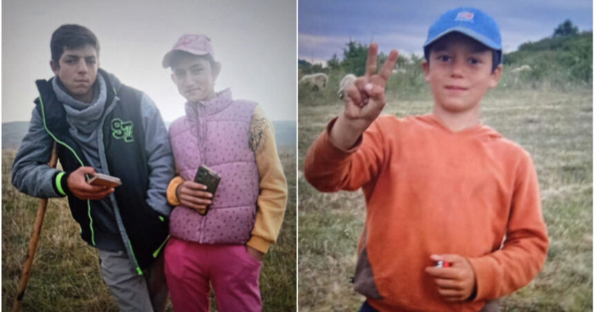 video disparitia celor trei frati din salaj un cioban ar fi vazut unul dintre copii cu un barbat anchetatorii iau in calcul rapirea 6ae5c8914ab4e