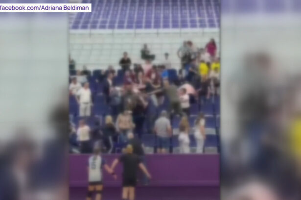 video scandal in tribune la un meci de handbal intre junioare la timisoara parintii s au luat la bataie sub privirile copiilor 6ac361c1e4cd2
