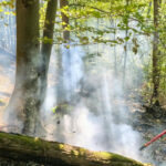videofoto incendii de vegetatie in caras severin si valcea trei elicoptere black hawk intervin la baile herculane 6abe29d742ae9