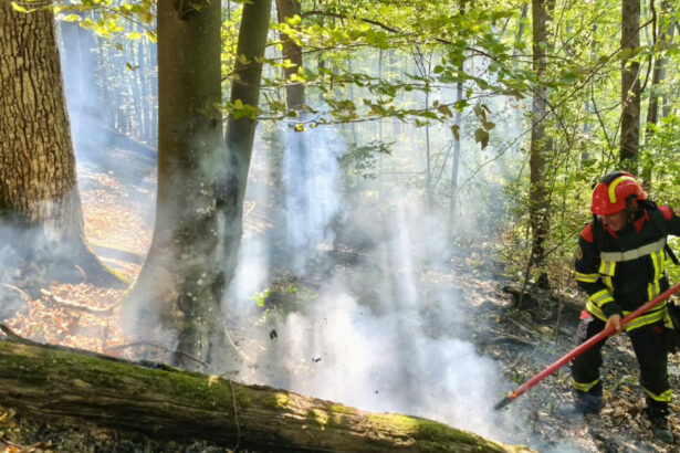 videofoto incendii de vegetatie in caras severin si valcea trei elicoptere black hawk intervin la baile herculane 6abe29d742ae9