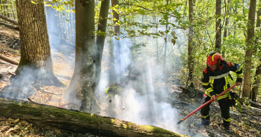 videofoto incendii de vegetatie in caras severin si valcea trei elicoptere black hawk intervin la baile herculane 6abe29d742ae9