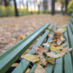 vreme mai rece decat de obicei in toata tara anm a actualizat estimarile pentru urmatoarele patru saptamani 6acdce4c63201