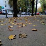 vremea se schimba radical in romania dimineti cu inghet si dupa amiezi cu pana la 26 de grade 6abe548448431